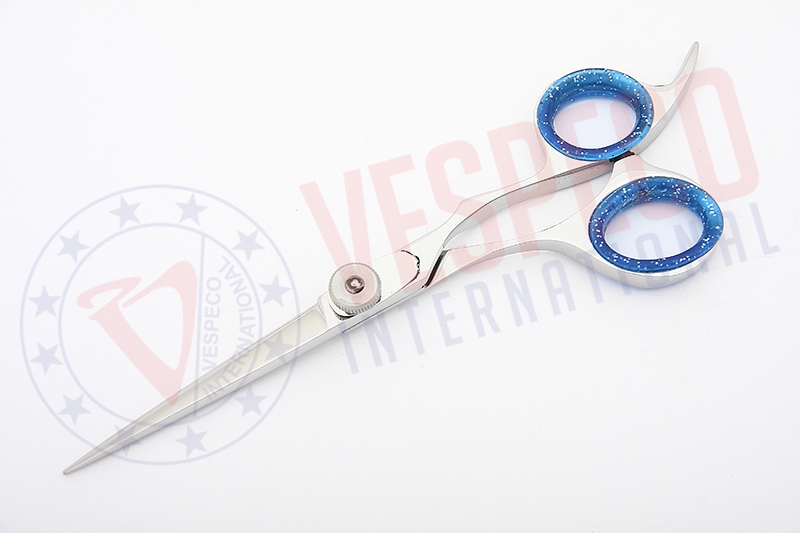 Professional Hairdressing Scissors